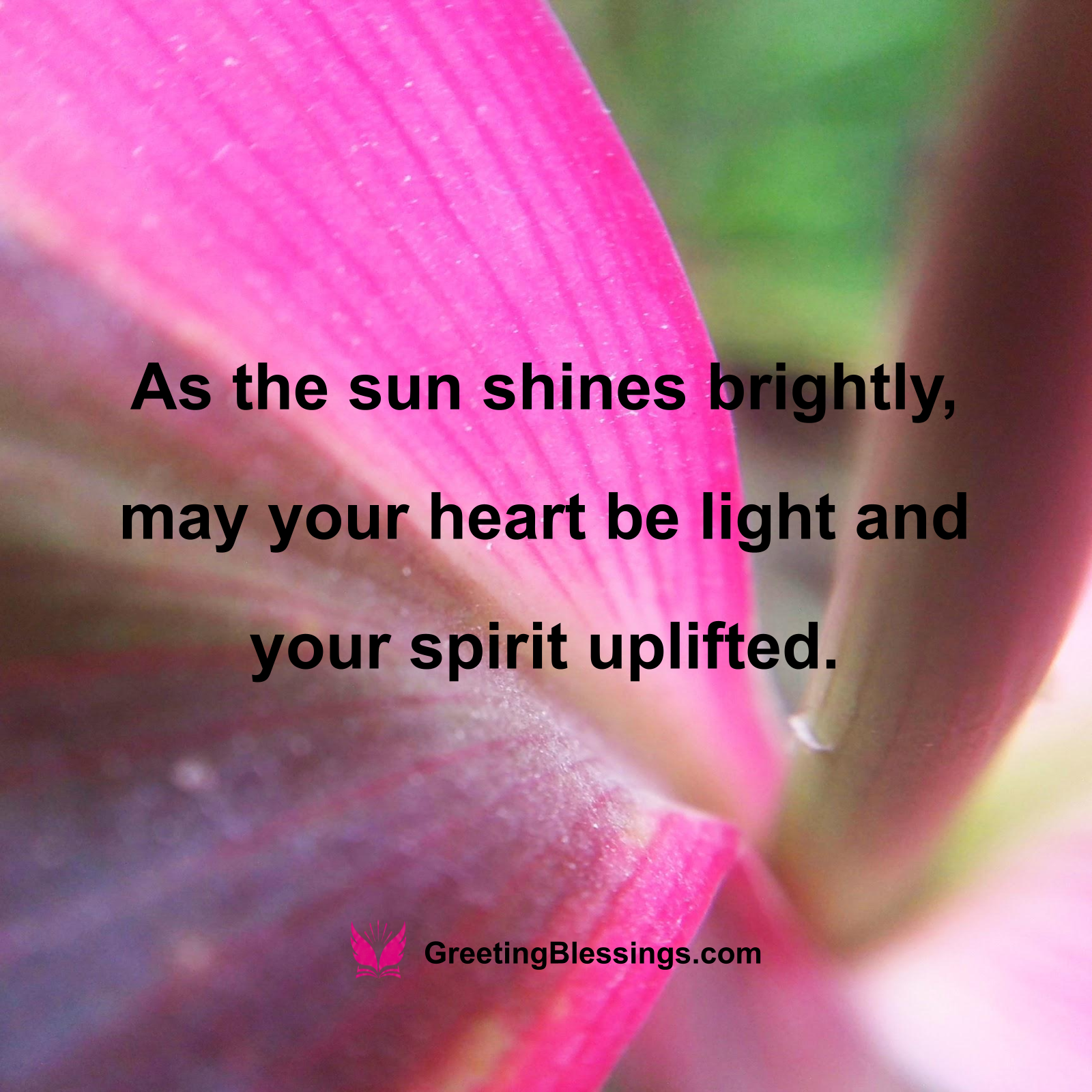 Good Afternoon Prayers