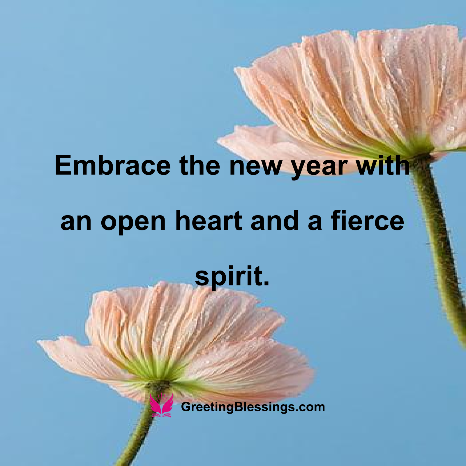 Encouraging New Year Blessings