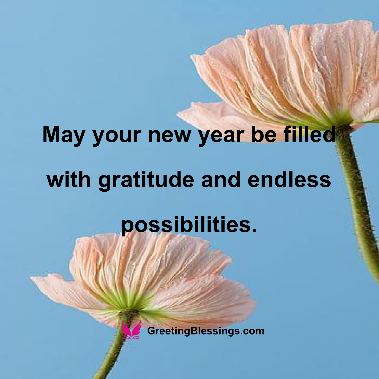 Hopeful New Year Blessings