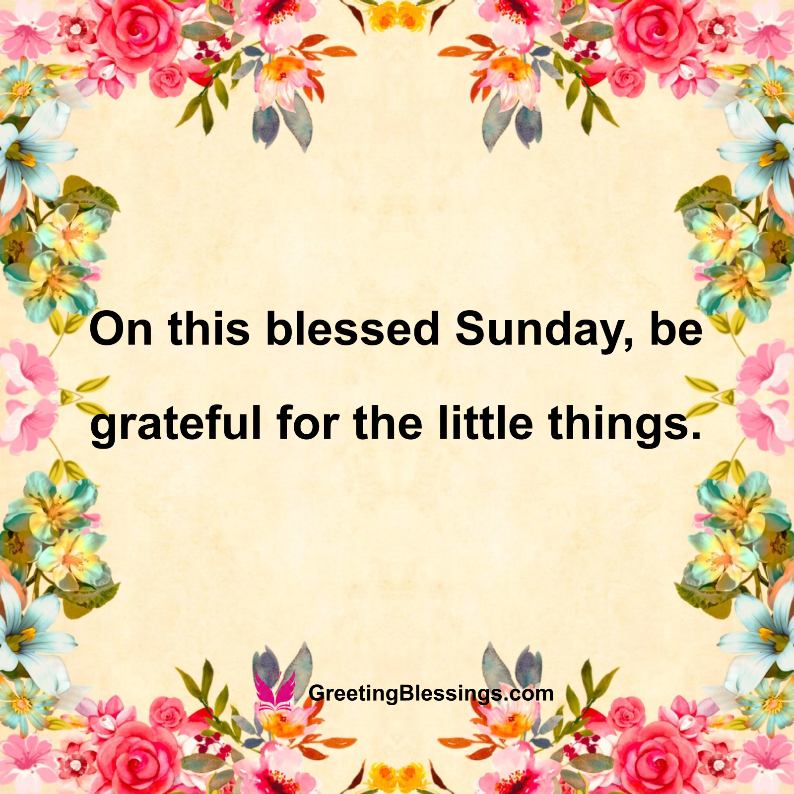 Gratitude on Sunday