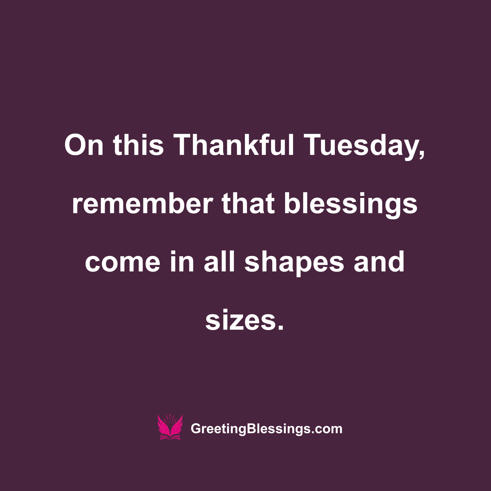 Thankful Tuesday Blessings