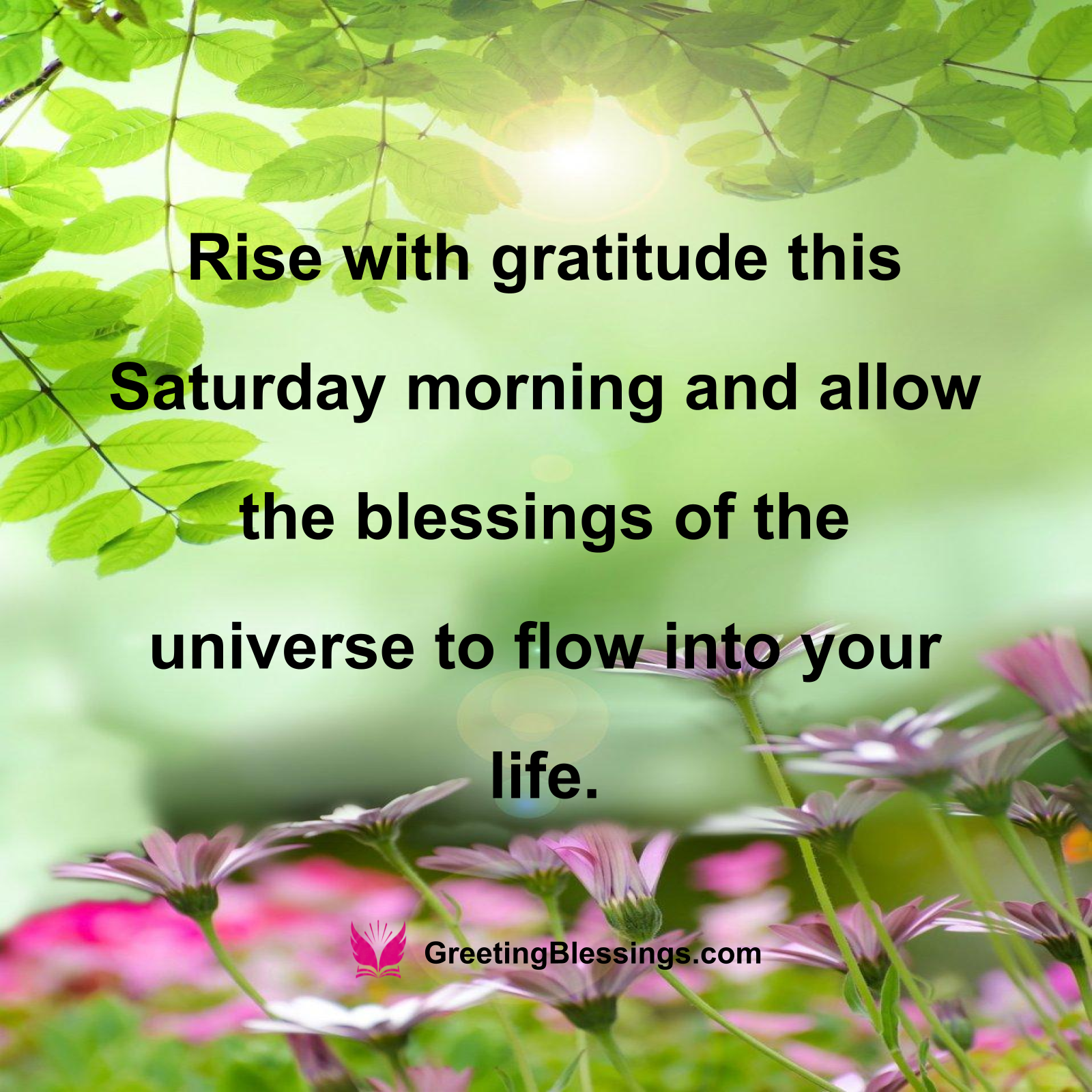 Gratitude Blessing