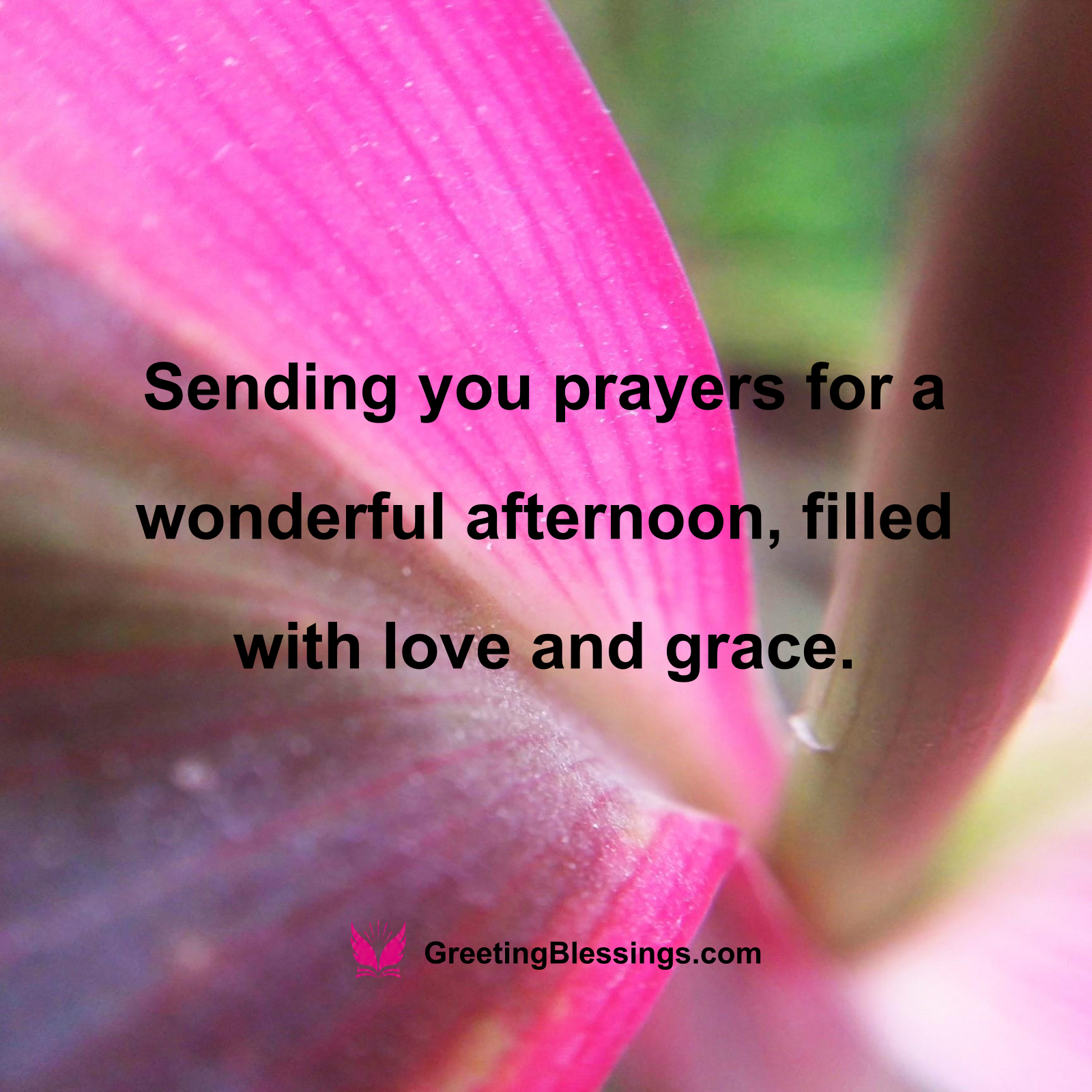 Good Afternoon Blessings for Peace