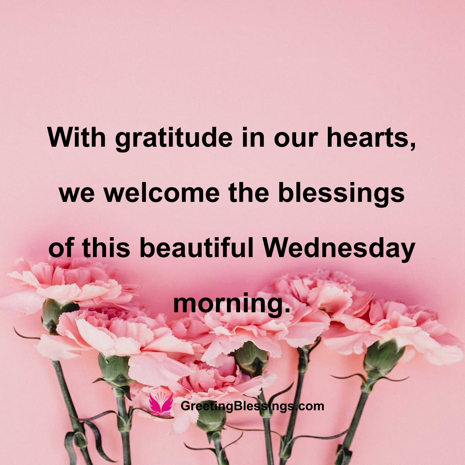 Joyful Wednesday Morning